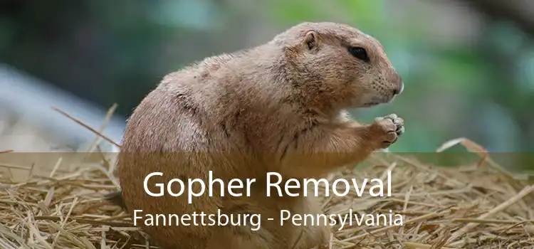 Gopher Removal Fannettsburg - Pennsylvania