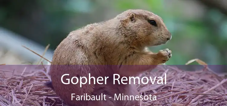 Gopher Removal Faribault - Minnesota