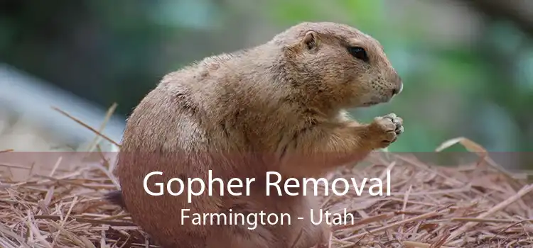 Gopher Removal Farmington - Utah