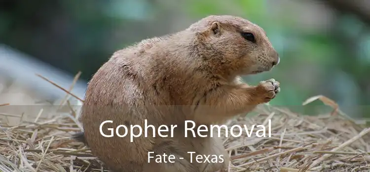 Gopher Removal Fate - Texas