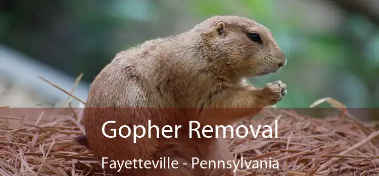 Gopher Removal Fayetteville - Pennsylvania