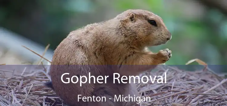 Gopher Removal Fenton - Michigan