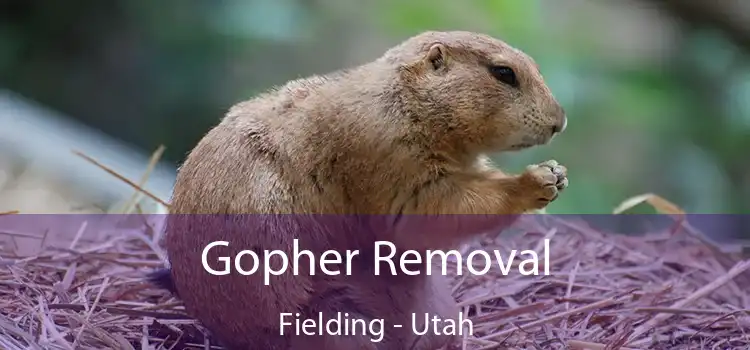 Gopher Removal Fielding - Utah