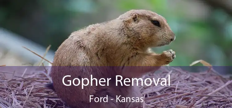 Gopher Removal Ford - Kansas