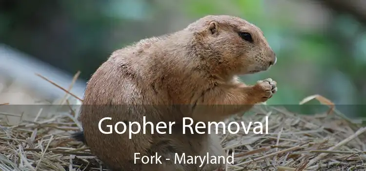 Gopher Removal Fork - Maryland