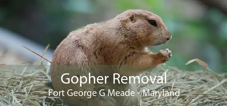 Gopher Removal Fort George G Meade - Maryland