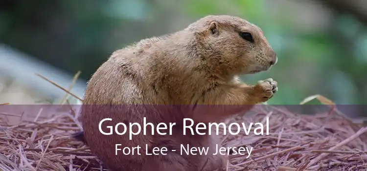 Gopher Removal Fort Lee - New Jersey