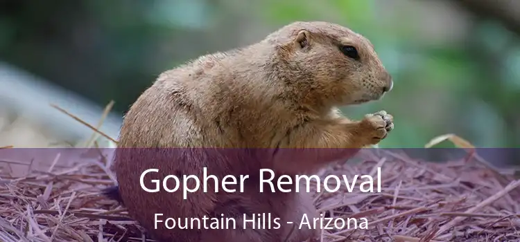 Gopher Removal Fountain Hills - Arizona