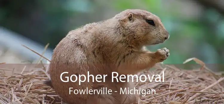 Gopher Removal Fowlerville - Michigan