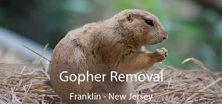 Gopher Removal Franklin - New Jersey