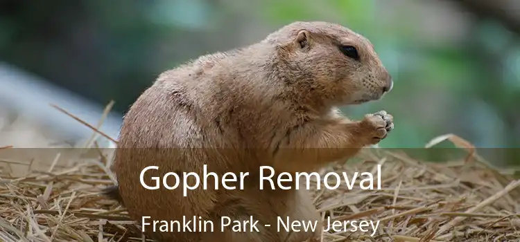 Gopher Removal Franklin Park - New Jersey