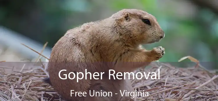 Gopher Removal Free Union - Virginia