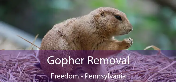 Gopher Removal Freedom - Pennsylvania