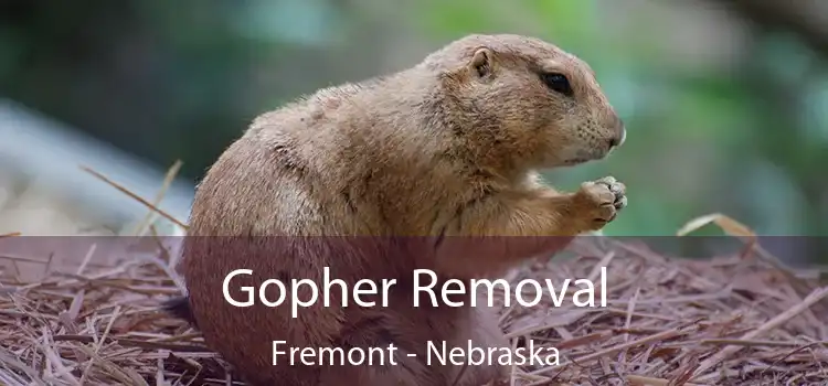 Gopher Removal Fremont - Nebraska