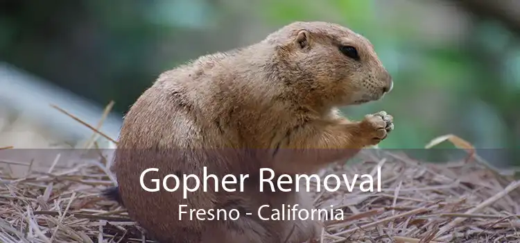 Gopher Removal Fresno - California