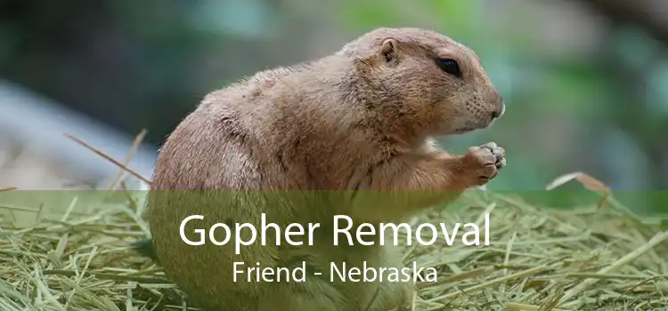 Gopher Removal Friend - Nebraska