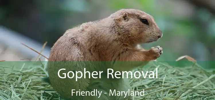 Gopher Removal Friendly - Maryland