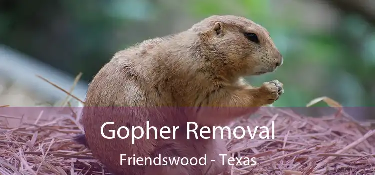 Gopher Removal Friendswood - Texas