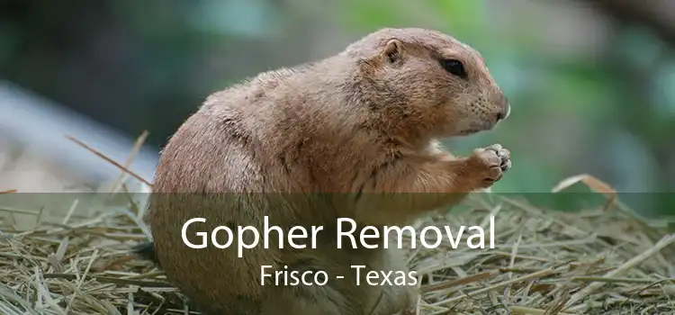 Gopher Removal Frisco - Texas