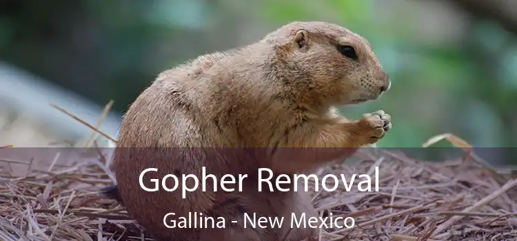 Gopher Removal Gallina - New Mexico