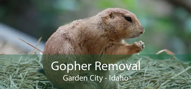 Gopher Removal Garden City - Idaho