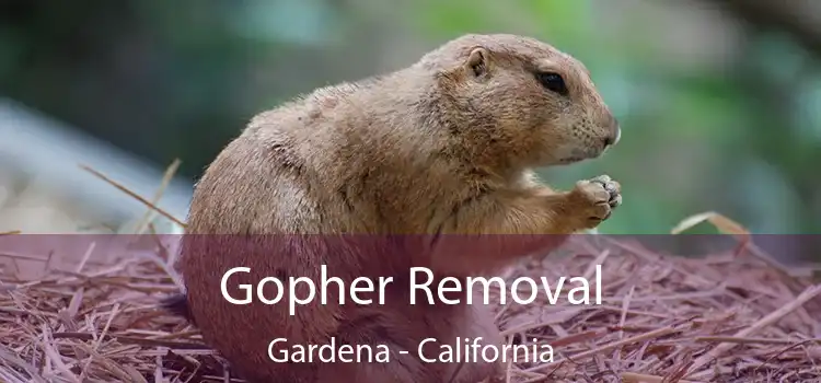 Gopher Removal Gardena - California