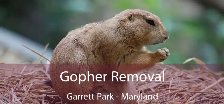 Gopher Removal Garrett Park - Maryland