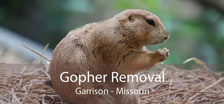 Gopher Removal Garrison - Missouri