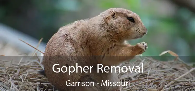 Gopher Removal Garrison - Missouri