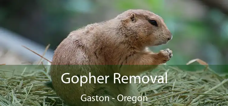 Gopher Removal Gaston - Oregon