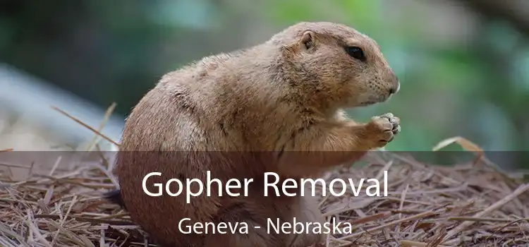 Gopher Removal Geneva - Nebraska