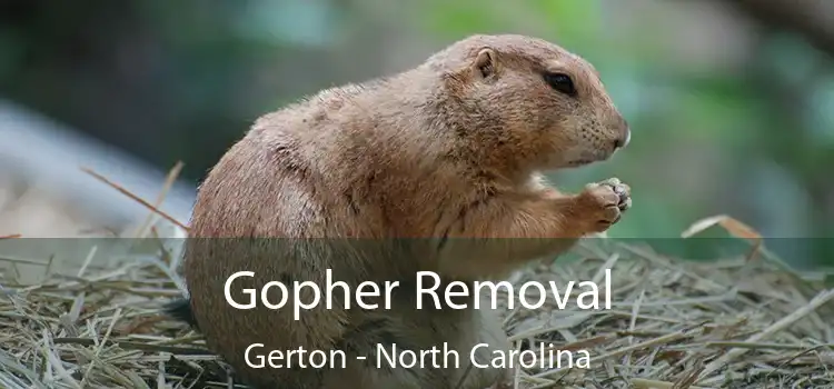 Gopher Removal Gerton - North Carolina