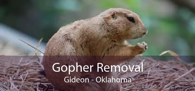 Gopher Removal Gideon - Oklahoma