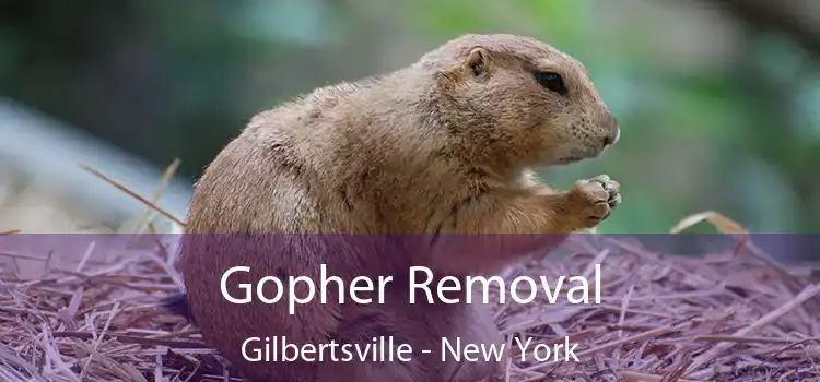 Gopher Removal Gilbertsville - New York