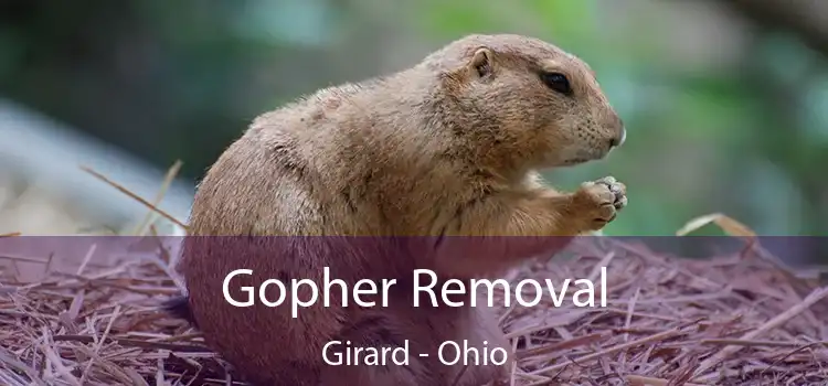 Gopher Removal Girard - Ohio