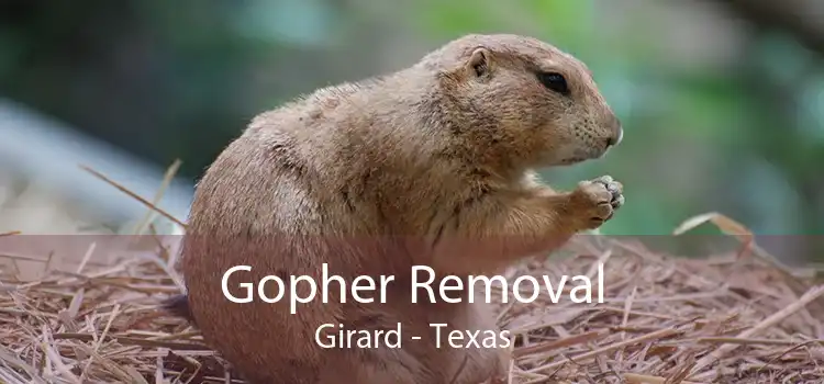 Gopher Removal Girard - Texas