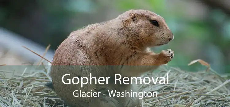 Gopher Removal Glacier - Washington