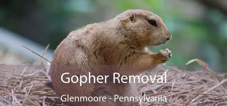 Gopher Removal Glenmoore - Pennsylvania