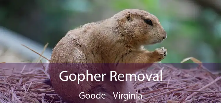 Gopher Removal Goode - Virginia