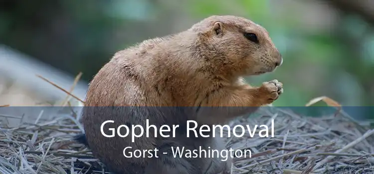 Gopher Removal Gorst - Washington