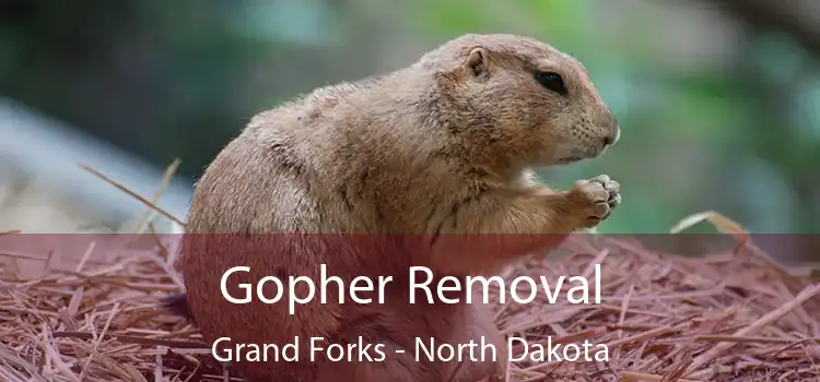 Gopher Removal Grand Forks - North Dakota