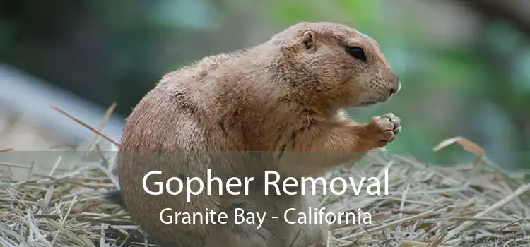 Gopher Removal Granite Bay - California