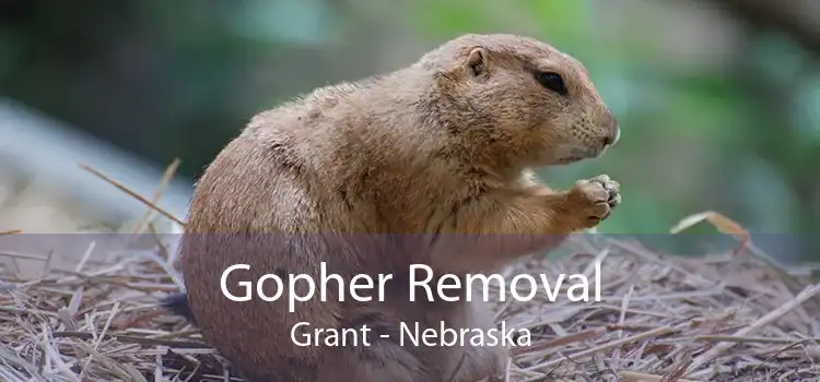 Gopher Removal Grant - Nebraska
