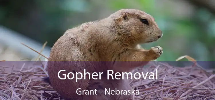 Gopher Removal Grant - Nebraska