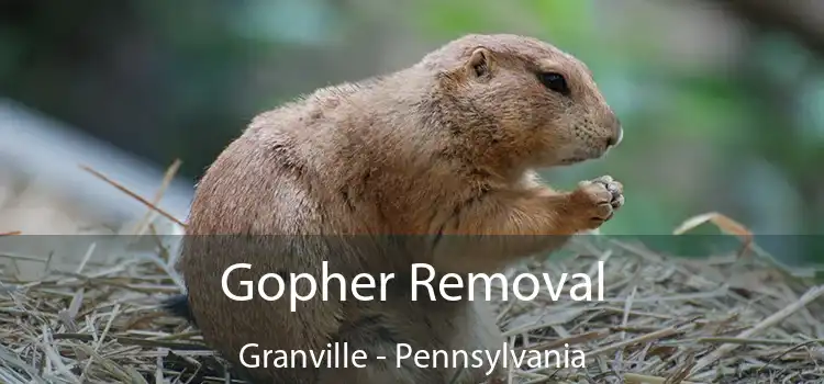 Gopher Removal Granville - Pennsylvania