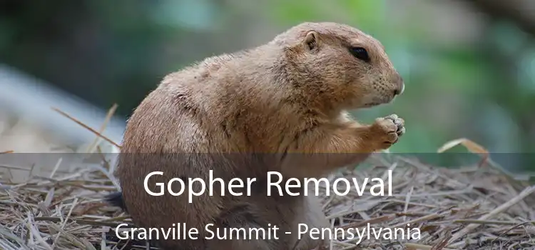 Gopher Removal Granville Summit - Pennsylvania
