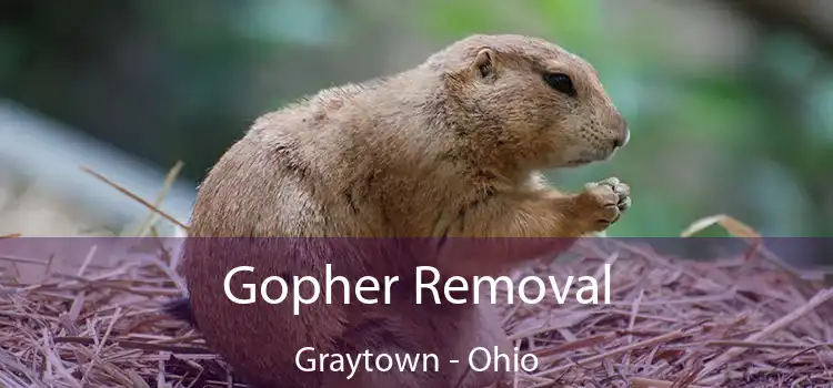 Gopher Removal Graytown - Ohio