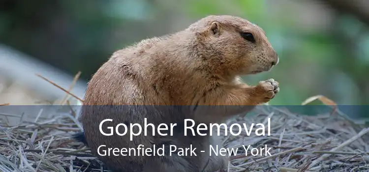 Gopher Removal Greenfield Park - New York