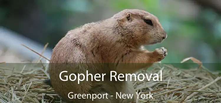 Gopher Removal Greenport - New York