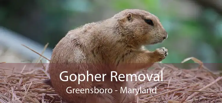Gopher Removal Greensboro - Maryland
